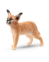 Schleich 14868 Młody Karakal. Wild Life - nr 7