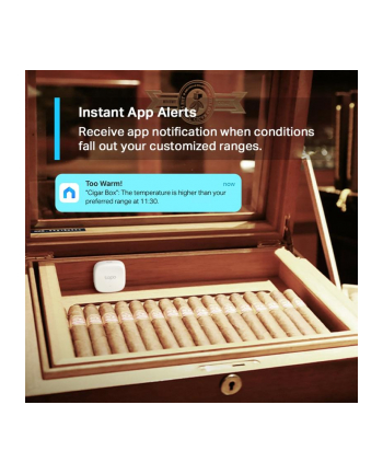 tp-link Czujnik Temperatury i Wilgotności Tapo T310 nr 1