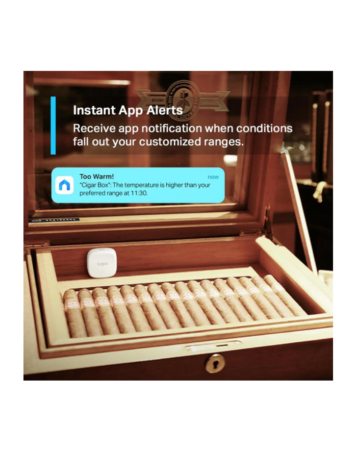 tp-link Czujnik Temperatury i Wilgotności Tapo T310 główny