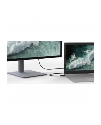 belkin Kabel USB C na HDMI 2.1 2m 8K 60Hz nr 1