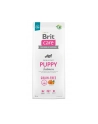 Brit Care Dog Grain-Free Puppy Salmon 12kg - nr 1