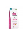 Brit Care Dog Grain-Free Puppy Salmon 12kg - nr 2