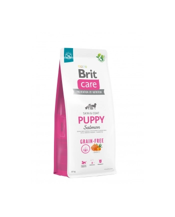 Brit Care Dog Grain-Free Puppy Salmon 12kg nr 1