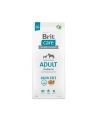 Brit Care Dog Grain-Free Adult Salmon 12kg - nr 1