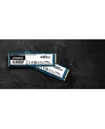 Dysk SSD Kingston DC1000B 480GB M.2 2280 SEDC1000BM8/480G (DWPD 0.5)