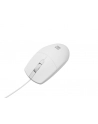 natec Mysz Ruff 2 1000 DPI Biała - nr 13
