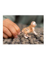 Schleich 14866 Młody Gepard Wild Life - nr 6