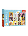 Puzzle 60el Słodkie psiaki 17374 Trefl - nr 2