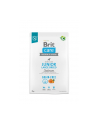 Brit Care Dog Grain-Free Junior Large Salmon 3kg - nr 1
