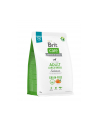 Brit Care Dog Grain-Free Adult Large Salmon 3kg - nr 1