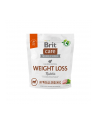 Brit Care Hypoallergenic weight loss 1kg pies - nr 1