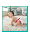 Pieluchy PAMPERS Premium PANTS MTH rozm 4 (9-15kg) 114szt - nr 6