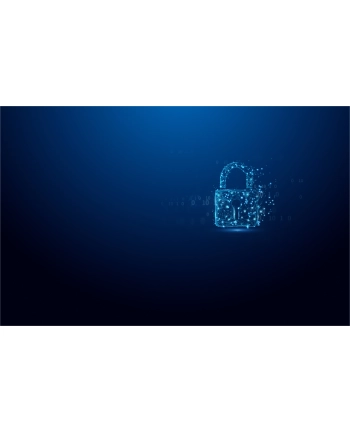KINGSTON FLASH 32GB IronKey Vault Privacy 50 nr 2