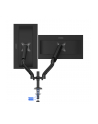 aoc international AOC AD110DX Dual Monitor Arm with USB Hub - nr 5