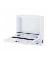 TECHLY Security Box for Notebooks and Lims accessories Basic White RAL 9016 - nr 1