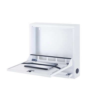 TECHLY Security Box for Notebooks and Lims accessories Basic White RAL 9016 nr 1