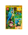 LEGO 31136 CREATOR Egzotyczna papuga p6 - nr 17