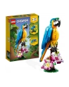 LEGO 31136 CREATOR Egzotyczna papuga p6 - nr 19