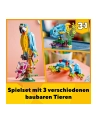 LEGO 31136 CREATOR Egzotyczna papuga p6 - nr 21