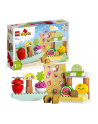 LEGO 10983 DUPLO My First Ryneczek bio p3 - nr 15