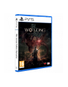 plaion Gra PlayStation 5 Wo Long Fallen Dynasty - nr 2