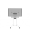 NEOMOUNTS BY NEWSTAR Select Video Kit Cam- ' AV Shelf incl. Logitech Rally Bar mini Adapter for FL55-875WH1 - nr 27