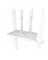 NEOMOUNTS BY NEWSTAR Select Video Kit Cam- ' AV Shelf incl. Logitech Rally Bar mini Adapter for FL55-875WH1 - nr 67