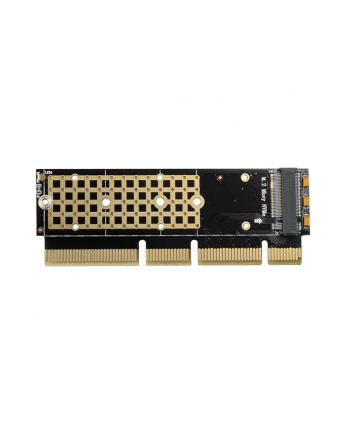 axagon PCEM2-1U Adapter wewnętrzny PCIe x16/x8/x4, M.2 NVMe M-key slot, 1U nr 1