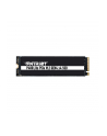 patriot memory PATRIOT Viper VP400 Lite 1TB M.2 SSD NVME GEN 4X4 3500/2700MB/s - nr 11