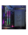 patriot memory PATRIOT VIPER RGB VENOM 32GB DDR5 KIT 2X16GB 6400Mhz CL32-40-40-84 1.4V - nr 15