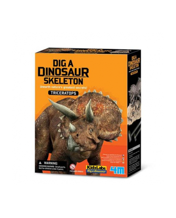 4m Wykopaliska Triceratops