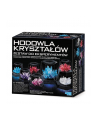 4m Hodowla kryształów krystal combo - nr 1