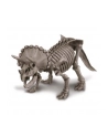 4m Wykopaliska Triceratops - nr 3