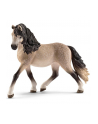 schleicher SCHLEICH Klacz andaluzyj ska - nr 1