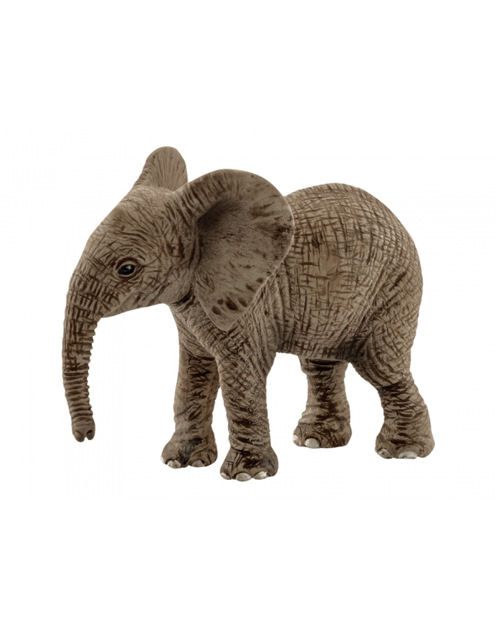 schleicher SCHLEICH Młody słoń afry kański główny