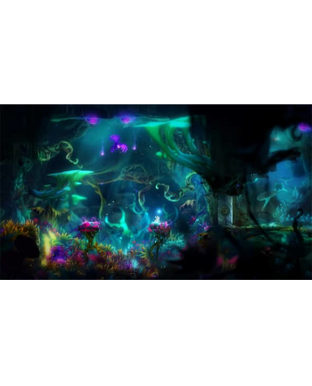 microsoft MS ESD Xbox 1PP GonD C2C-X1 Online Onln Gaming Ori and Blind Forest Dfntv Ed DwnLd nr 1