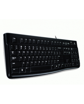 LOGITECH K120 keyboard corded (PAN)
