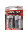 Bateria alkaliczna RED 2xD(LR20) - nr 15