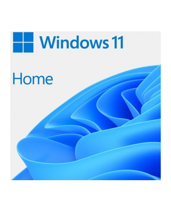 microsoft MS 1xWin 11 Home 64Bit Czech 1pk DSP OEI DVD (CZ)