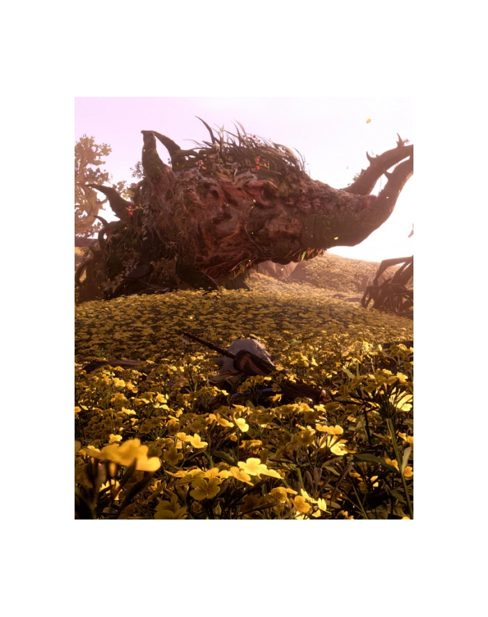 electronic arts EA WILD HEARTS XBOX SX ENG główny