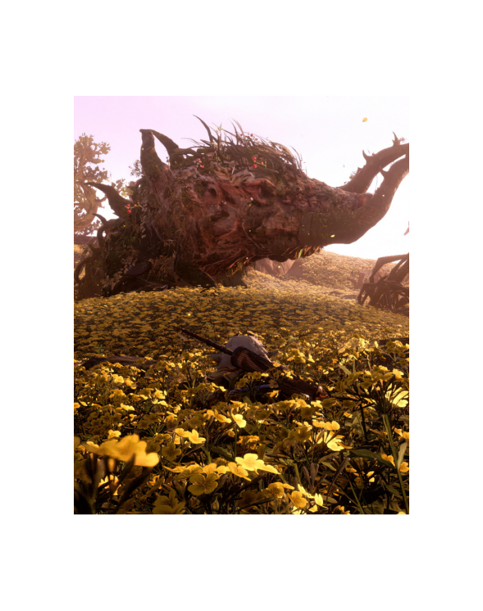 electronic arts EA WILD HEARTS XBOX SX ENG główny