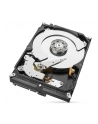 SEAGATE NAS HDD 4TB IronWolf 5400rpm 6Gb/s SATA 256MB cache 3.5inch 24x7 CMR for NAS and RAID rackmount systems BLK Project (P) - nr 21
