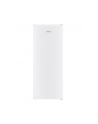 Chłodziarka 246L biała MPM-246-CJ-25 - nr 1