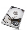 SEAGATE NAS HDD 12TB IronWolf 7200rpm 6Gb/s SATA 256MB cache 3.5inch 24x7 CMR for NAS and RAID Rackmount Systeme BLK Project (P) - nr 19