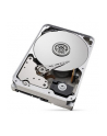 SEAGATE Surveillance AI Skyhawk 16TB HDD SATA 6Gb/s 256MB cache 8.9cm 3.5inch CMR Helium BLK Project (P) - nr 4