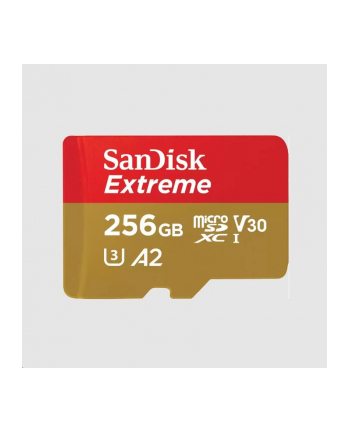 Sandisk Micro Sdxc Mobile Extreme 256Gb (SDSQXAV-256G-GN6GN)