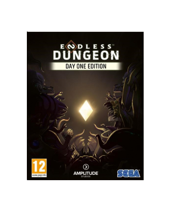 Endless Dungeon Day One Edition (Gra PC)