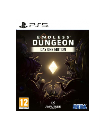 Endless Dungeon Day One Edition (Gra PS5)