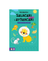 zielona sowa Książeczka Przedszkolak rysuje. Szlaczki i zygzaczki z lwem - nr 1