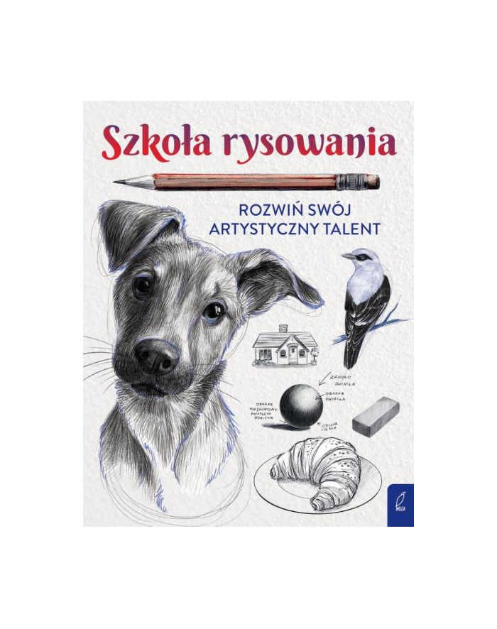 foksal Szkoła rysowania. Rozwiń swój artystyczny talent. główny